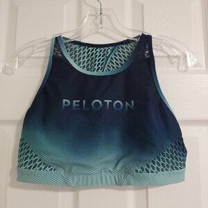 Peloton/With Stripe Fade Sports Bra Large
